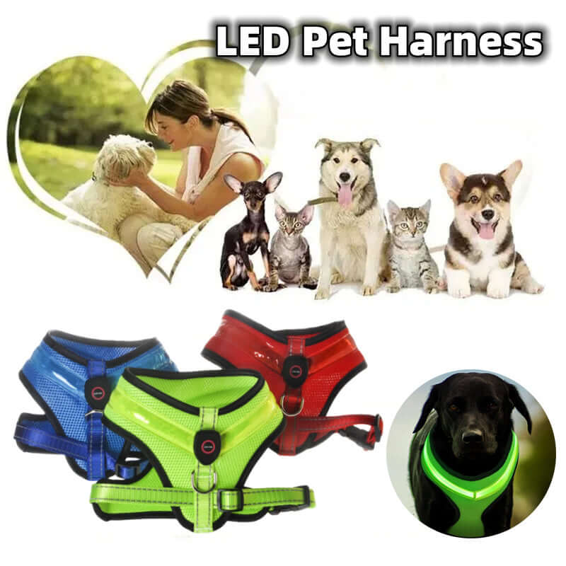 LED pet harnesses with dogs and cats, and a heart-shaped image of a woman and child.