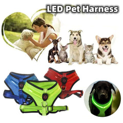 LED pet harnesses with dogs and cats, and a heart-shaped image of a woman and child.