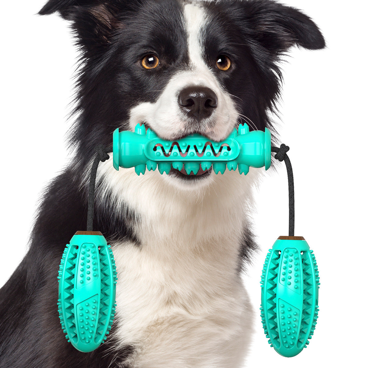 Dog holding a teal chew toy with a white background