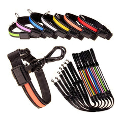 Solar & USB LED Dog Collar - Eco-Friendly Reflective Collar