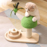 Cat playing with a green and wooden cat toy on a wooden floor.