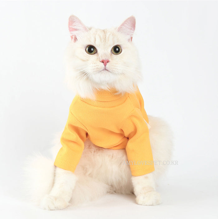 Cat wearing a yellow sweater on a white background