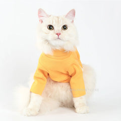 Cat wearing a yellow sweater on a white background