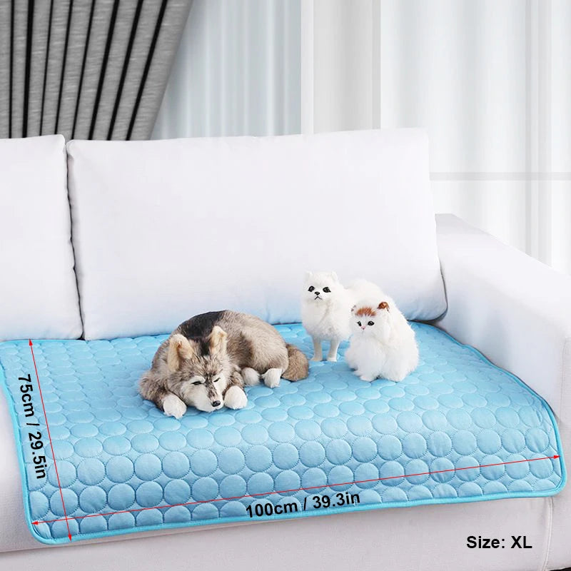 Blue pet mat on a white couch with two small dogs, size XL indicated.