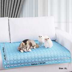 Blue pet mat on a white couch with two small dogs, size XL indicated.