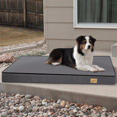 Dog lying on a large pet bed outside a house