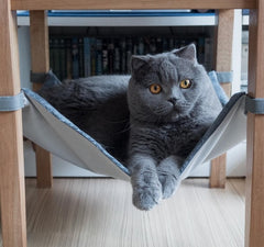 MIST Saveplace Pet Hammock - Chair & Table Mount, 3 Sizes Available