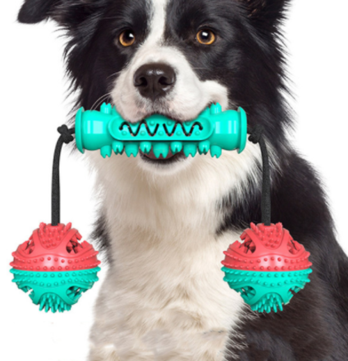 Rubber Bone Dog Chew Toy - Dental Health & Teeth Cleaning