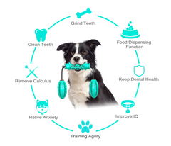 Rubber Bone Dog Chew Toy - Dental Health & Teeth Cleaning
