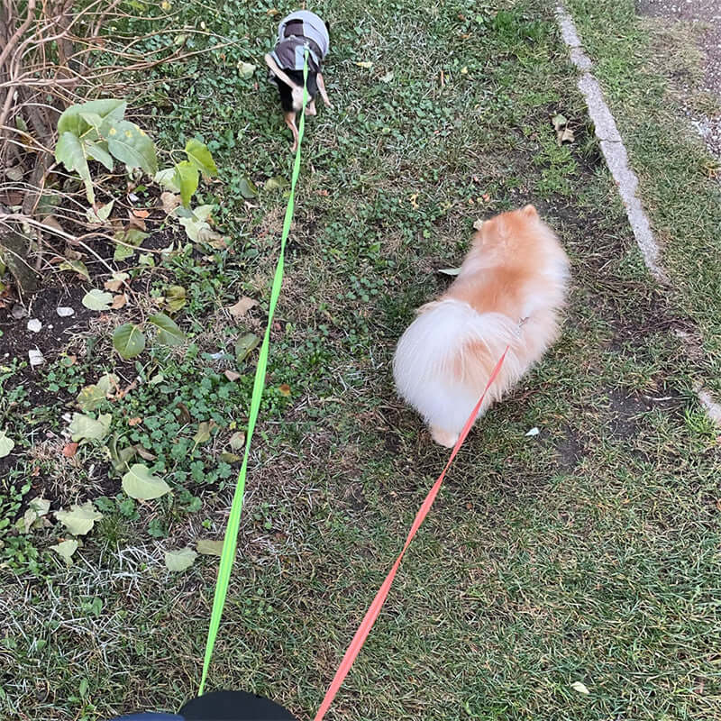 Dual Retractable Dog Leash - Reflective 360° Swivel for 