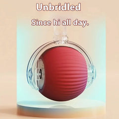 Smart Cat & Dog Toy – Automatic Rolling Ball with Fake Tail