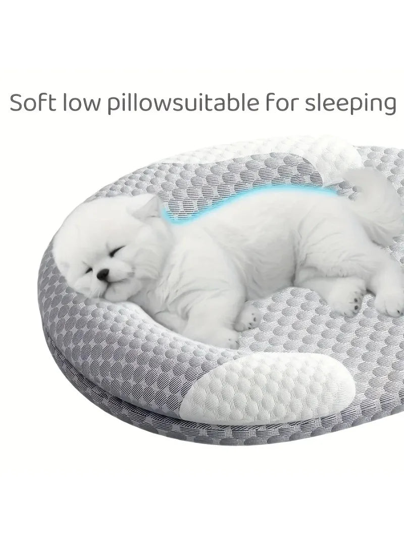 White dog lying on a soft low pillow suitable for sleeping