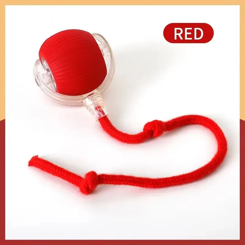 Smart Cat & Dog Toy – Automatic Rolling Ball with Fake Tail