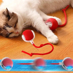 Smart Cat & Dog Toy – Automatic Rolling Ball with Fake Tail