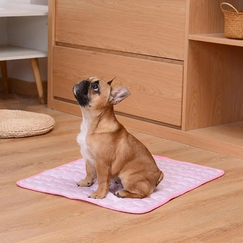Summer Cool & Breathable Pet Sleeping Mat – Ice Silk Kennel Mat for Large, Medium & Small Pets