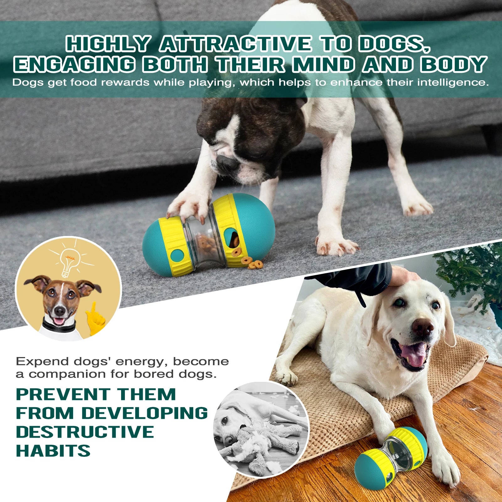 Dog playing with a toy, text about engaging dogs' mind and body, and preventing destructive habits.