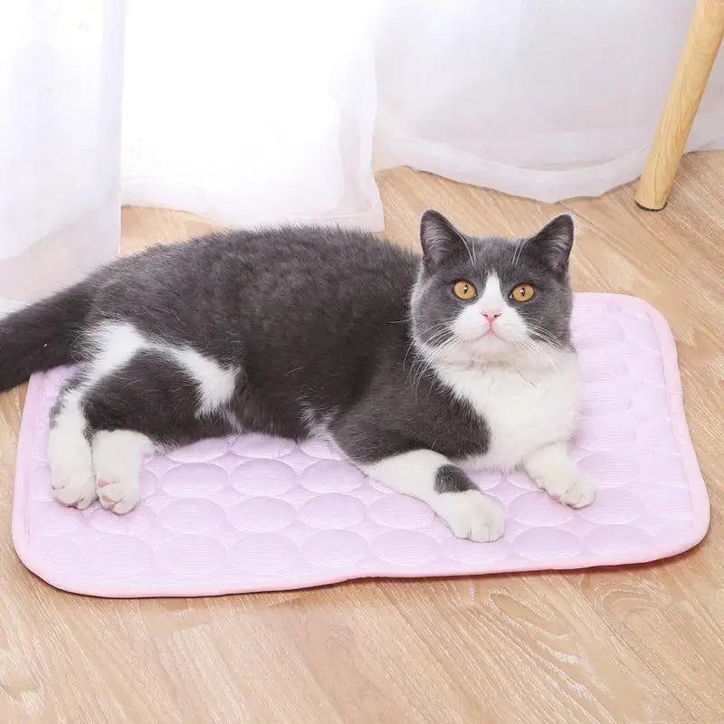 Summer Cool & Breathable Pet Sleeping Mat – Ice Silk Kennel Mat for Large, Medium & Small Pets