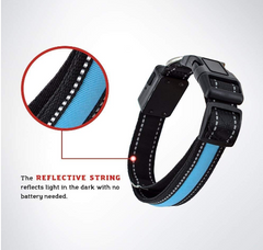 Solar & USB LED Dog Collar - Eco-Friendly Reflective Collar