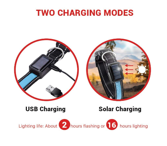 Solar & USB LED Dog Collar - Eco-Friendly Reflective Collar