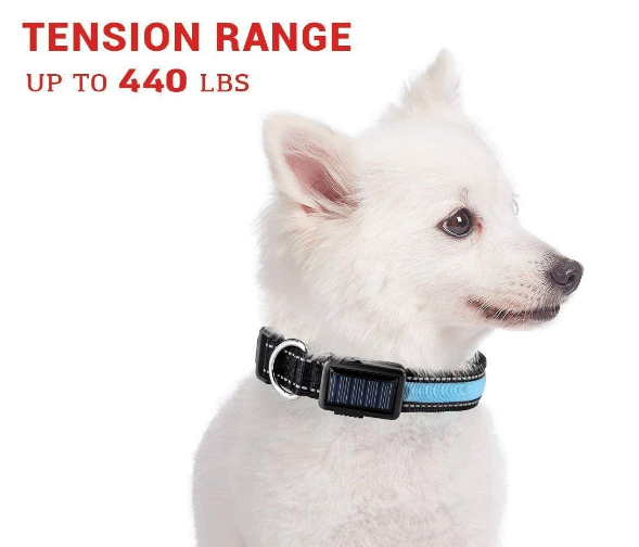 Solar & USB LED Dog Collar - Eco-Friendly Reflective Collar