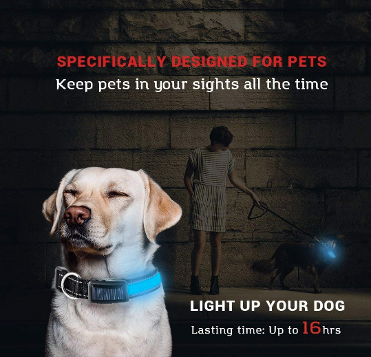 Solar & USB LED Dog Collar - Eco-Friendly Reflective Collar