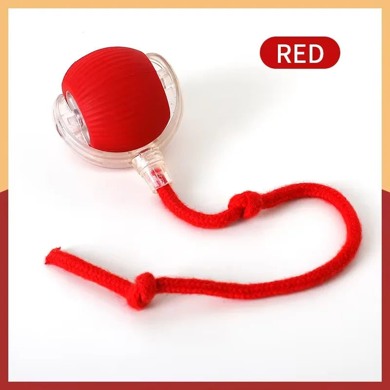Smart Cat & Dog Toy – Automatic Rolling Ball with Fake Tail