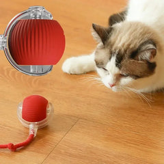 Smart Cat & Dog Toy – Automatic Rolling Ball with Fake Tail