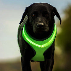 USB Rechargeable LED DogHarness Safety Vest Reflective Strip