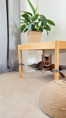 MIST Saveplace Pet Hammock - Chair & Table Mount, 3 Sizes Available