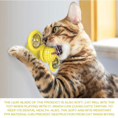 Interactive LED Whirling BallsActivated Cat Entertainment