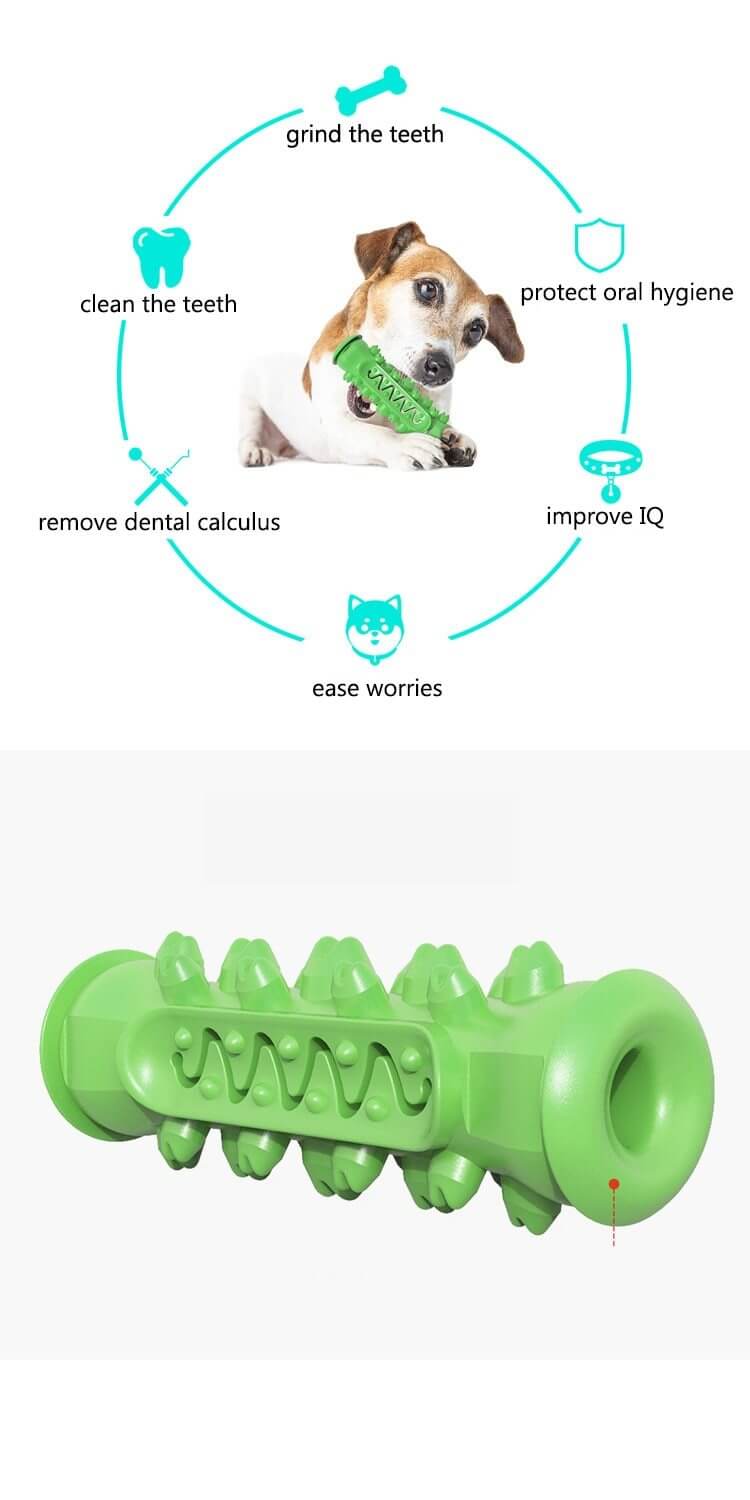 Durable Dog Chew ToyHeavy Duty Dental Health & Entertainment